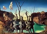 Ravensburger 12000193 12000193-Dali-1000 Teile Puzzle