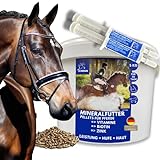 Mineralfutter + Vitaminpaste I Vitamine Und Mineralien für Pferde I für Fell Huf Haut Haar I Mit...