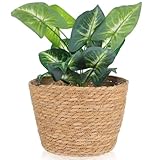 WRITWAA Geflochtener Pflanzkorb aus Rattan Mittlerer Blumenkübel für Innenbereich Handgewebter...