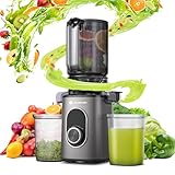 AAOBOSI Slow Juicer für Obst