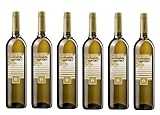 6x 0,75l - 2023er - Bodegas Inurrieta - Orchidea - Sauvignon Blanc - Navarra D.O.P. - Spanien -...