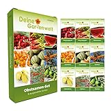 Obstsamen Set - 9 Sorten Samen - Saatgut Sortiment - Anzuchtset für Obst - Geschenkset -...