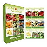 Obstsamen Set - 9 Sorten Samen - Saatgut Sortiment - Anzuchtset für Obst - Geschenkset -...