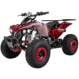 Actionbikes Motors Kinder Quad ATV S-10 125 cc | 4-Takt 125ccm Motor bis 𝟓𝟎 km/h - Kinderquad...