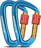 flintronic Karabiner mit Schraubverschluss, 2PCS 12KN Karabinerhaken Schraubverschluss, Karabiner...