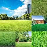 rasensamen pflanzenkübel balkon hochbeet pflanztöpfe deko kräutergarten winterharte...