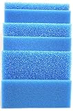 Wohnkult Filtermatte Filterschwamm blau alle Größen von 50 x 50 x 2 cm - 100 x 50 x 10 cm Grob und...