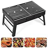 AGM Holzkohlegrill Picknickgrill Edelstahl Kleiner Grill Portable Campinggrill Abnehmbare BBQ Grills...