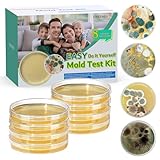 Schimmeltest-Set mit 4 einzelnen Tests – DIY-Form-Test-Set für Zuhause – inklusive...