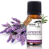 rooted.® BIO Lavendelöl | 100% naturreines ätherisches Öl | Lavandula angustifolia | Echter...