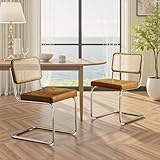 Zouron Esszimmerstühle Rattan Stuhl Schwingstühle 2er Set - mit Eichenholz Kunstleder Küchenstuhl...