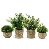 YVONNEYI 4 Stück Künstliche Pflanzen, Mini Kunstpflanze Eukalyptus, Künstliche Pflanzen Plastik...