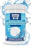 BlueViking Chlortabletten für Pool 5 in 1 - Hochwirksame Multitabs Pool 200g im 1kg Eimer - Chlor...