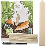 Holzschilder zum Beschriften: Premium Holz Pflanzenstecker im Set mit 60x Pflanzschilder und Stift...