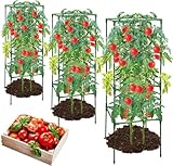 MUSLONG 3 Stück Tomaten Rankhilfe, Pflanzenhalter, Rankhilfe Pflanzen, Robuste Tomatenkäfig,...