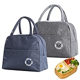 PanBeiQiWEU 2 Stück 6 L isolierte Lunchtasche, thermische Picknicktaschen, lunchbox kühltasche,...