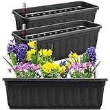 Hausfelder Blumenkasten 3er Set mit Wasserspeicher und Wasserstandsanzeige, Pflanzkasten für Garten...