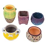 Toddmomy 5 Stück Blumentopf-Set aus Keramik dekorativ Pflanzentöpfe mit Drainage rustikale...