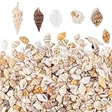 PandaHall 1300-1500Pcs Tiny Sea Shell Ocean Beach Spirale Muscheln Craft Charms 7-12mm Muscheln für...