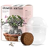GROW2GO Kakteen Starter Kit Anzuchtset - Pflanzset aus Mini-Gewächshaus, Kaktus Samen & Erde -...