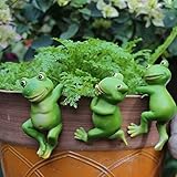 Miniteich Deko Set mit 3 Niedlichen Hängende Frosch Deko Set für Teichschale Miniteich...