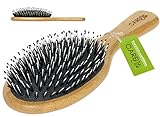 CareElite Haarbürste aus Bambus-Holz für nasse, trockene, lockige und schöne Haare bei Frauen,...