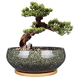 EPFamily Bonsai-Pflanztopf aus Keramik, glasiert, flach, Sukkulenten-Übertopf mit Ablaufloch und...