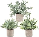 Der Rose 3 Stück Künstliche Pflanzen Wie Echt Eukalyptus Pflanzen Fake Plants für Deko Wohnzimmer...