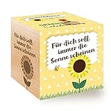 Celebrations Ecocube, Sonnenblume Bio Samen, Holzwürfel Mit Lasergravur «Für Dich Soll Immer Die...