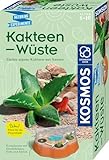 KOSMOS 658250 MBE Kakteen-Wüste Züchte eigene Kakteen, Komplett-Set mit dekorativem...