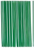 Meister Pflanzenbinder 15 cm - Praktisches Set mit 100 Stück - Mit flexiblem Drahtkern - Für...