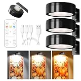 Winwj 3 Stück Bildbeleuchtung Kabellos, Aufladbar Bilderleuchte Kabellos mit Fernbedienung, Bild...