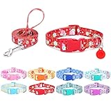 Moonpet Hundehalsband mit Leine, Airtag-Halter, Etui-Set, atmungsaktiv, verstellbar, langlebig, für...