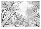 Fototapete Baumkronen Wald 3D schwarz weiß Baum des Lebens Wohnzimmer Schlafzimmer Wandtapete Vlies...