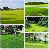 rasensamen schnellkeimend - rasensaat - steingartenpflanzen winterhart schattenrasen deko...