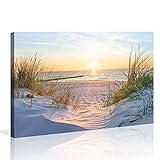 Visario 120 x 80 cm Bild auf Leinwand Dünen Nordsee Ostssee 5009 deutsche Marke und Lager, fertig...