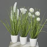 mucplants Kunstpflanze Gras im weißen Topf 3 Stück Höhe 38cm Grün/Creme Kunstgras Ziergras...