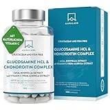 Glucosamin Chondroitin hochdosiert 1500mg + MSM Kapseln hochdosiert - Glucosamin Chondroitin MSM...