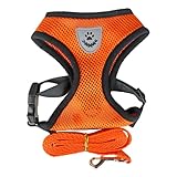 Katzengeschirr mit Leine ausbruchsicher, verstellbares Hundegeschirr für Welpen, Katzen Leine,...