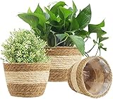 KAHEIGN 3Pcs Blumentöpfe Seegras Pflanzenkörbe, 3 Größen Gewebter Blumentop Set Blumentöpfe...