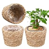 Pflanzkorb – auslaufsicher mit wasserdichtem Futter | gewebter Korb Pflanzgefäß – für Haus,...