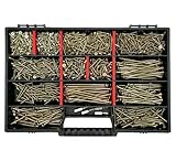 FRACKMANN Schraubenset 1000 Teile – Holzschrauben & Spanplattenschrauben 3x12 bis 4,5x80 – inkl....