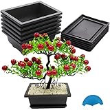 Kunststoff Bonsai Trainingstöpfe 3 Stücke 16cm+3 Stücke 23cm mit Tabletts und Pflanzenetikett...