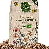 Little Plants Bienenweide - 125g Bio Samen Bienenwiese - Blumenwiese Samen mehrjährig winterhart -...