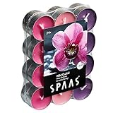 Spaas Pack de chauffe plats parfumées Orchidée Sauvage 24 Duft-Teelichter Farben Sortiert, ± 4,5...