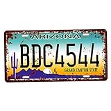 Baoblaze USA Kennzeichen Metall Blechschilder Schild Plakette für Cafe Bar Tür - Arizona