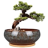EPFamily Bonsai-Pflanztopf aus Keramik, glasiert, flach, Sukkulenten-Übertopf mit Ablaufloch und...