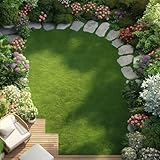 rasensamen schnellkeimend - rasensaat - grünpflanzen schattenrasen gartenpflanzen winterhart...