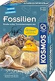 KOSMOS 657918 Fossilien Ausgrabungs-Set, Grabe echte Versteinerungen und Bernstein selbst aus, mit...