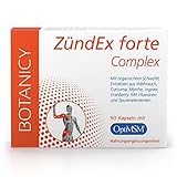 BOTANICY Zündex Forte Complex - Unterstützt bei Entzündungen & Gelenkbeschwerden - OptiMSM...